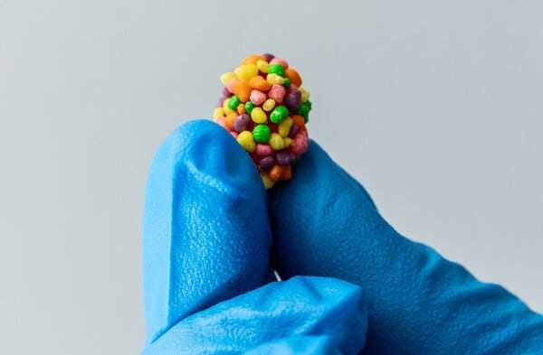 A blue gloved hand holds up a tiny Nerds Gummy Cluster, a candy with dozens of tiny colorful Nerds pebbles surrounding a gummy core. 