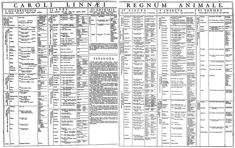 File:Linnaeus - Regnum Animale (1735).png