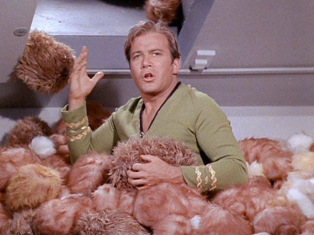 What are Tribbles in Star Trek? - Lovarzi Blog