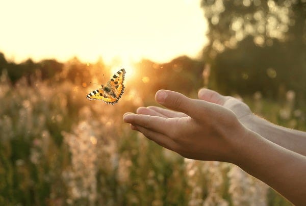 6,748,019 张Beautiful life 免版税图片、库存照片和图像| Shutterstock