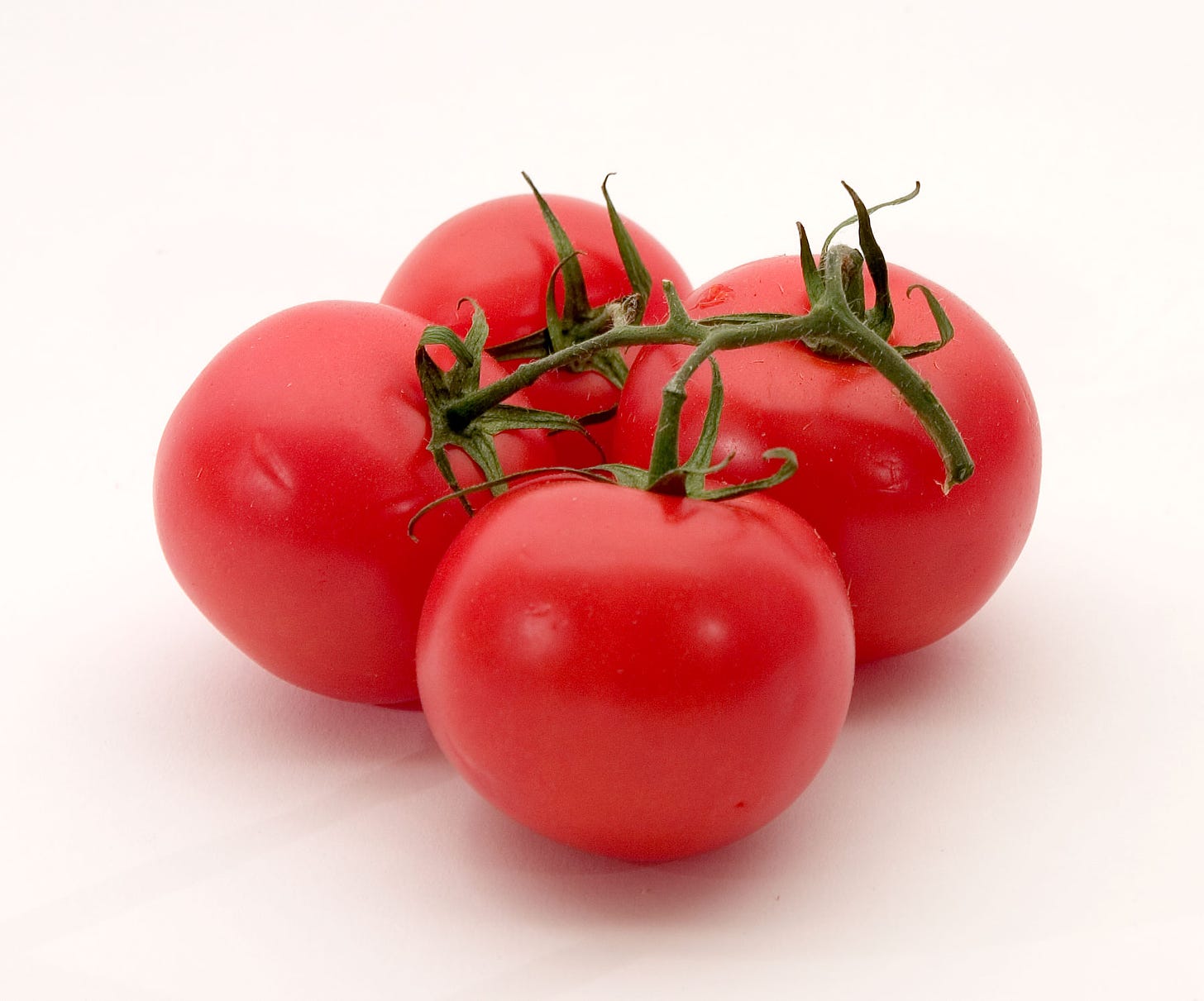 Four tomatoes which appear ripe to the naked eye.