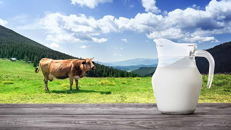 the case of raw dairy