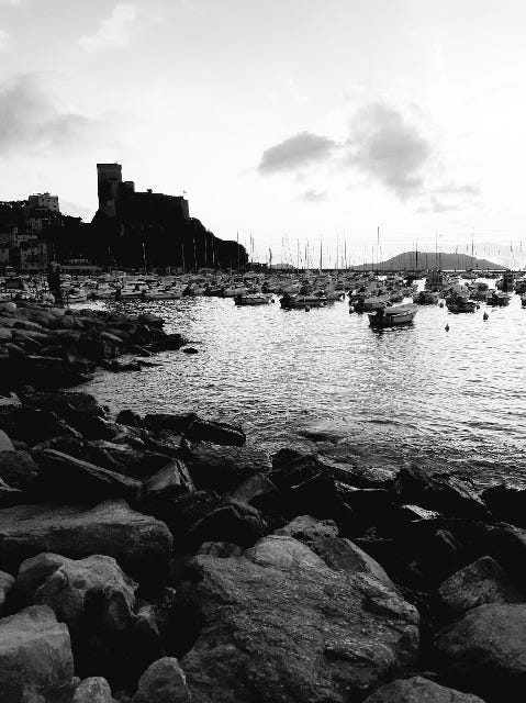 view of the castle and Lerici bay in black and white