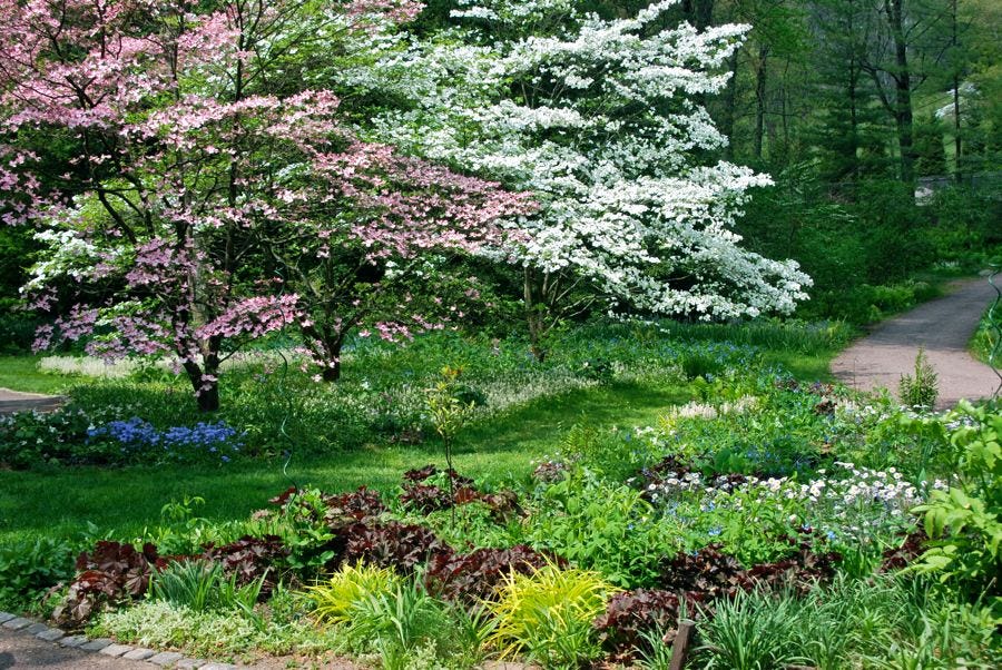 If you are making a visit to Chanticleer this spring, look for this garden at the bottom of the hill from the Entrance house, just past the Cutting garden.