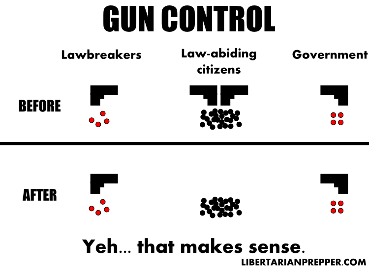 gun control picture