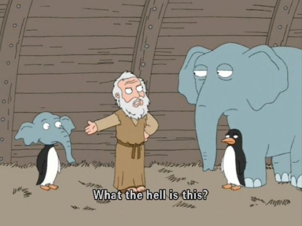 What the hell is this? Meme Generator - Imgflip