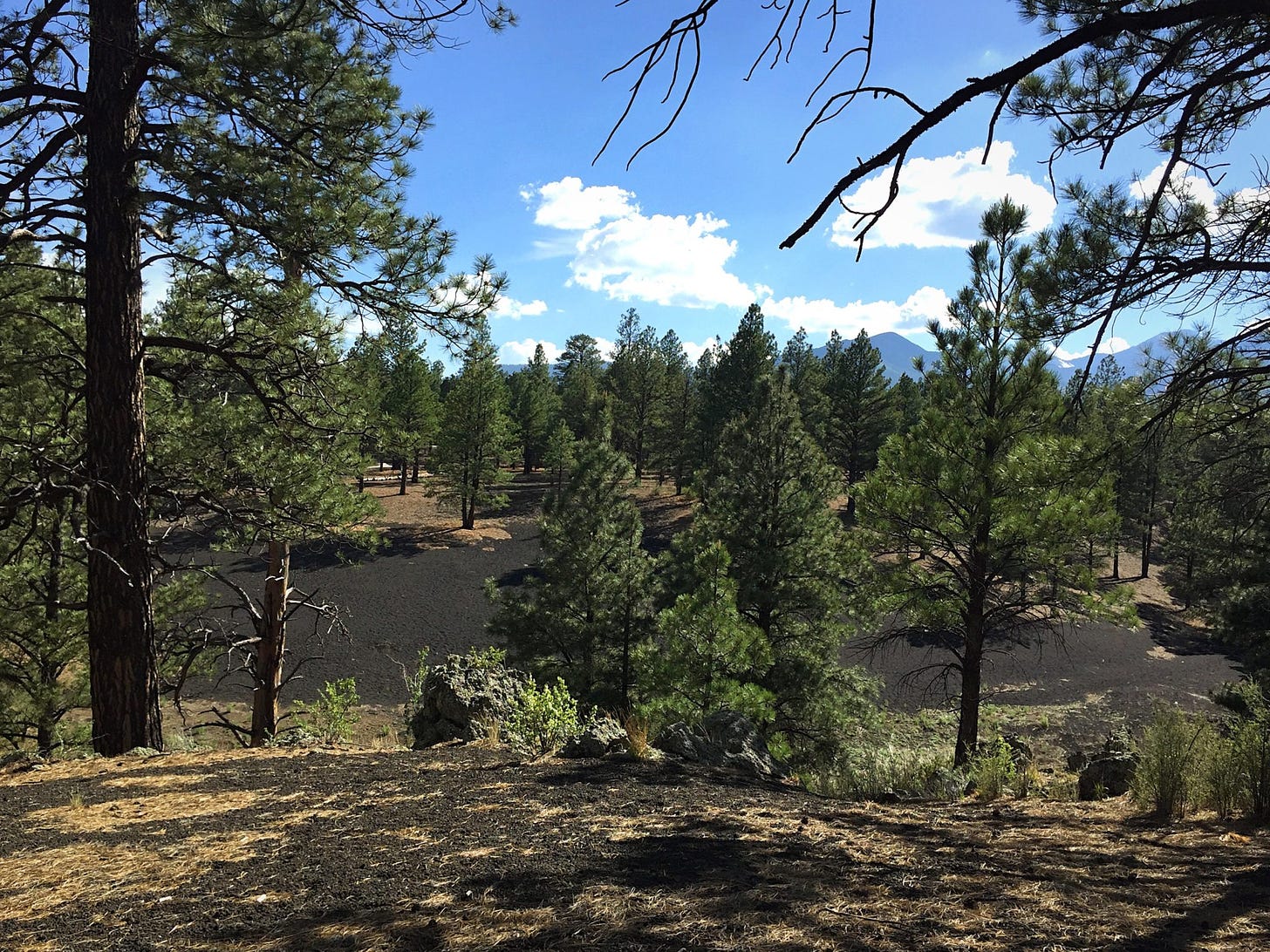 Sunset Crater - Bonito Campground
