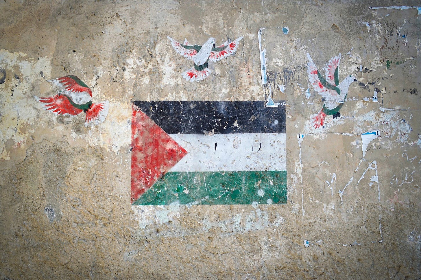A rough concrete wall with the Palestinian flag painted in the centre, surrounded by three birds painted in the colours of the flag
