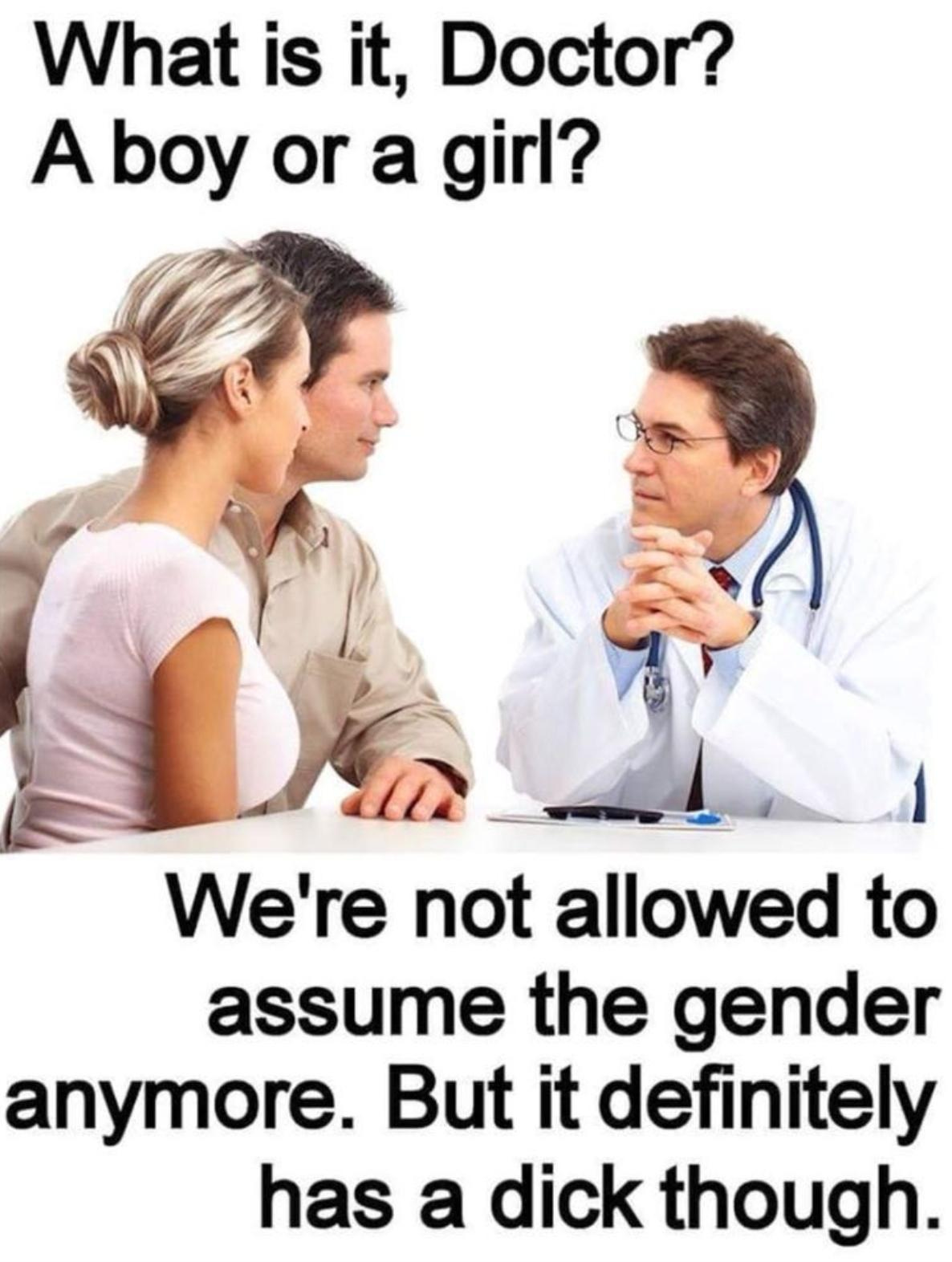 Did you just assume its gender? : memes