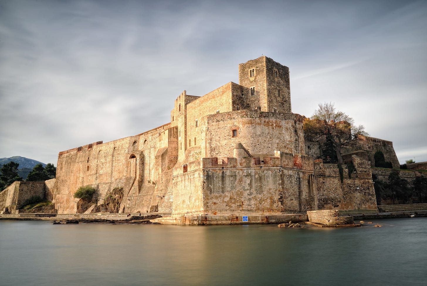 Château royal de Collioure — Wikipédia