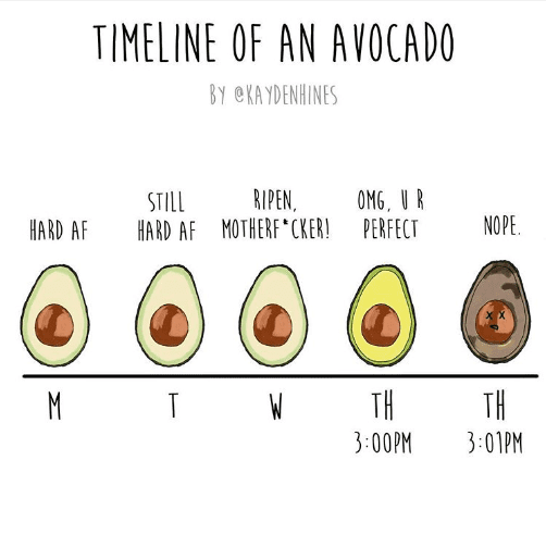 Timeline Of An Avocado | Vegan Memes | Totally Vegan Buzz