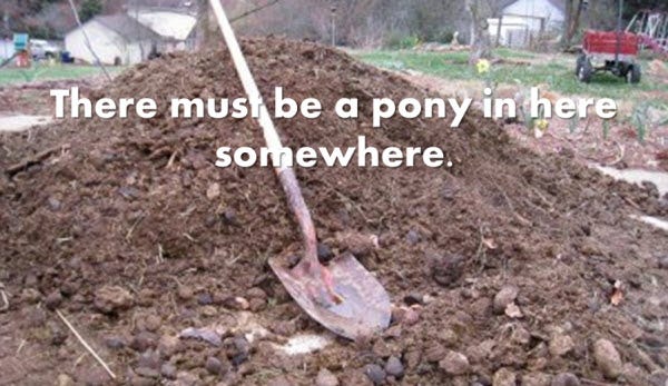 There Must be a Pony in here Somewhere! | The Global Warmers
