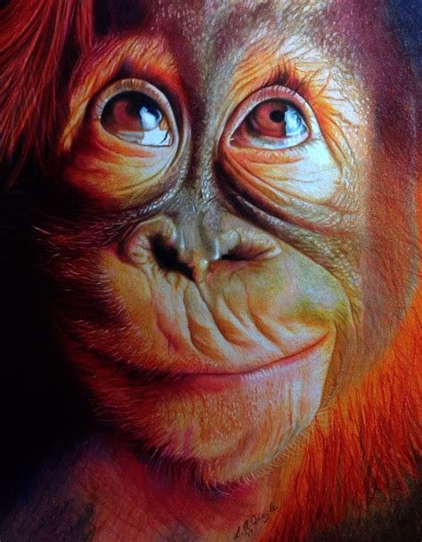 Cheeky Face, coloured pencil drawing by Lydia Quayle | Color pencil ...