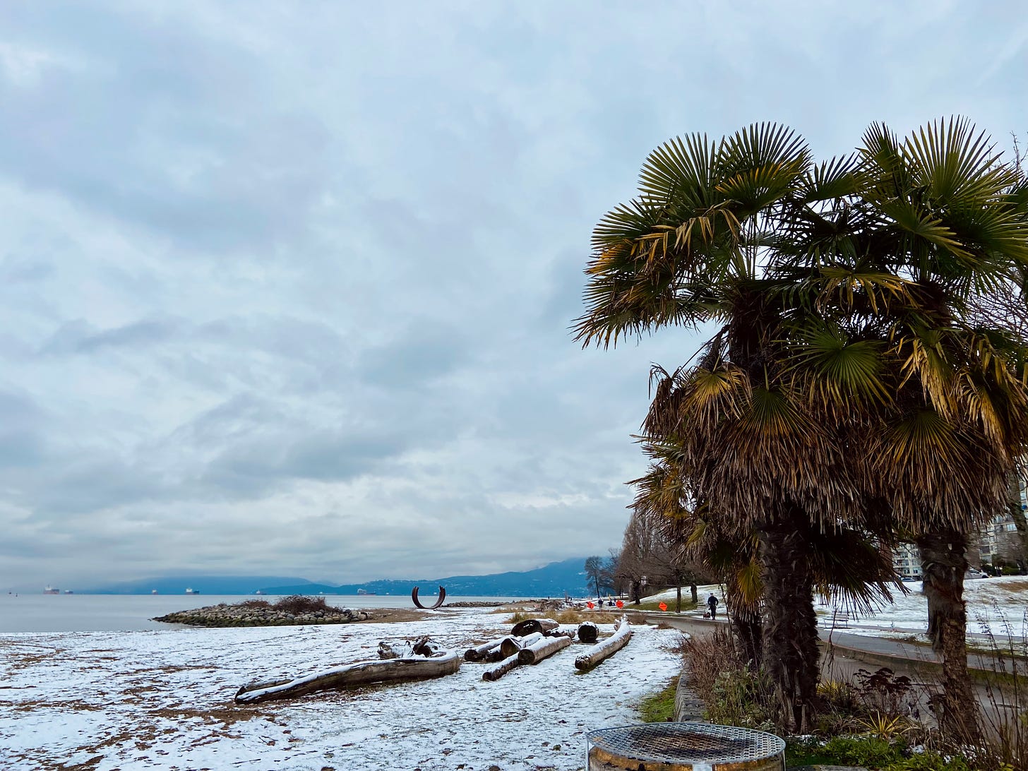 Palm trees and beach covered in snow at Vancouver seawall