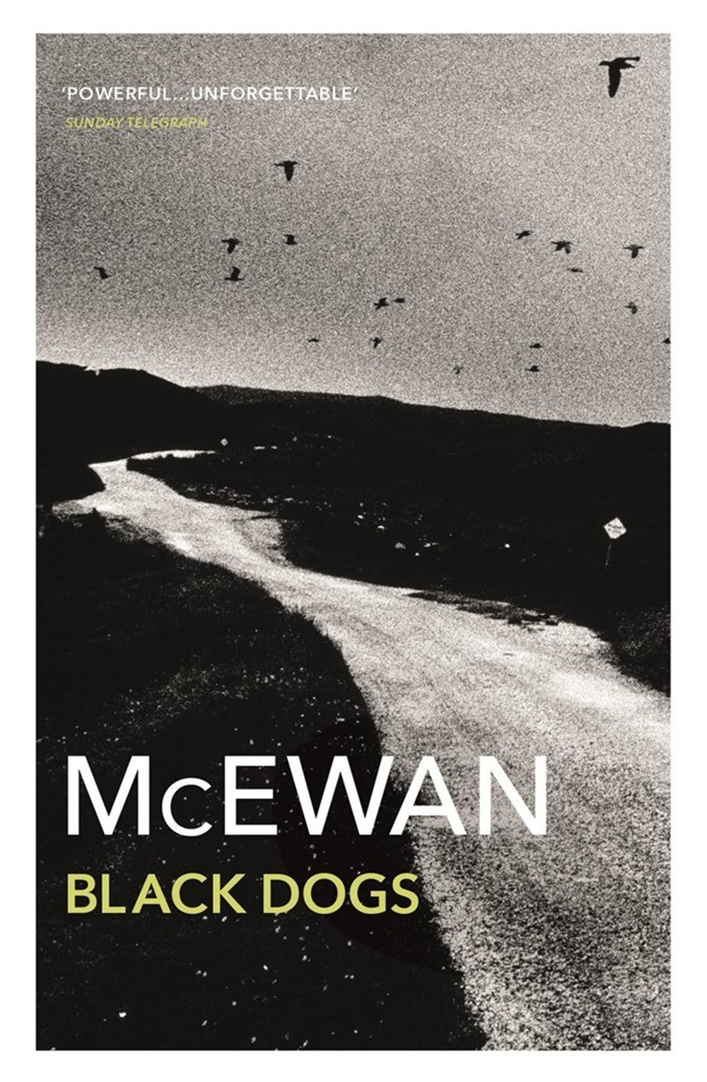 Book club: Black Dogs, by Ian McEwan