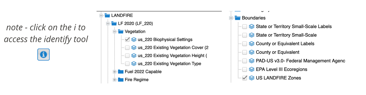 image showing the checkboxes required to access the correct viewer. Under Landfire > LF 2020 (LF_220) > Vegetation the us_2020 Biophysical Settings are selected 

under Boundaries, US LANDFIRE Zones is selected.

A note indicates that users can click on the i tool to access the identify tool, and shows an image of an i in a circle