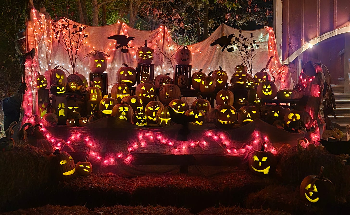 A large, illuminated display of carved pumpkins arranged on a wooden structure at night. The jack-o'-lanterns have various expressions, from spooky to playful, glowing against a backdrop of draped fabric and twinkling lights. Pinkish-red string lights add an eerie atmosphere, while crows and Halloween decorations enhance the haunting scene.