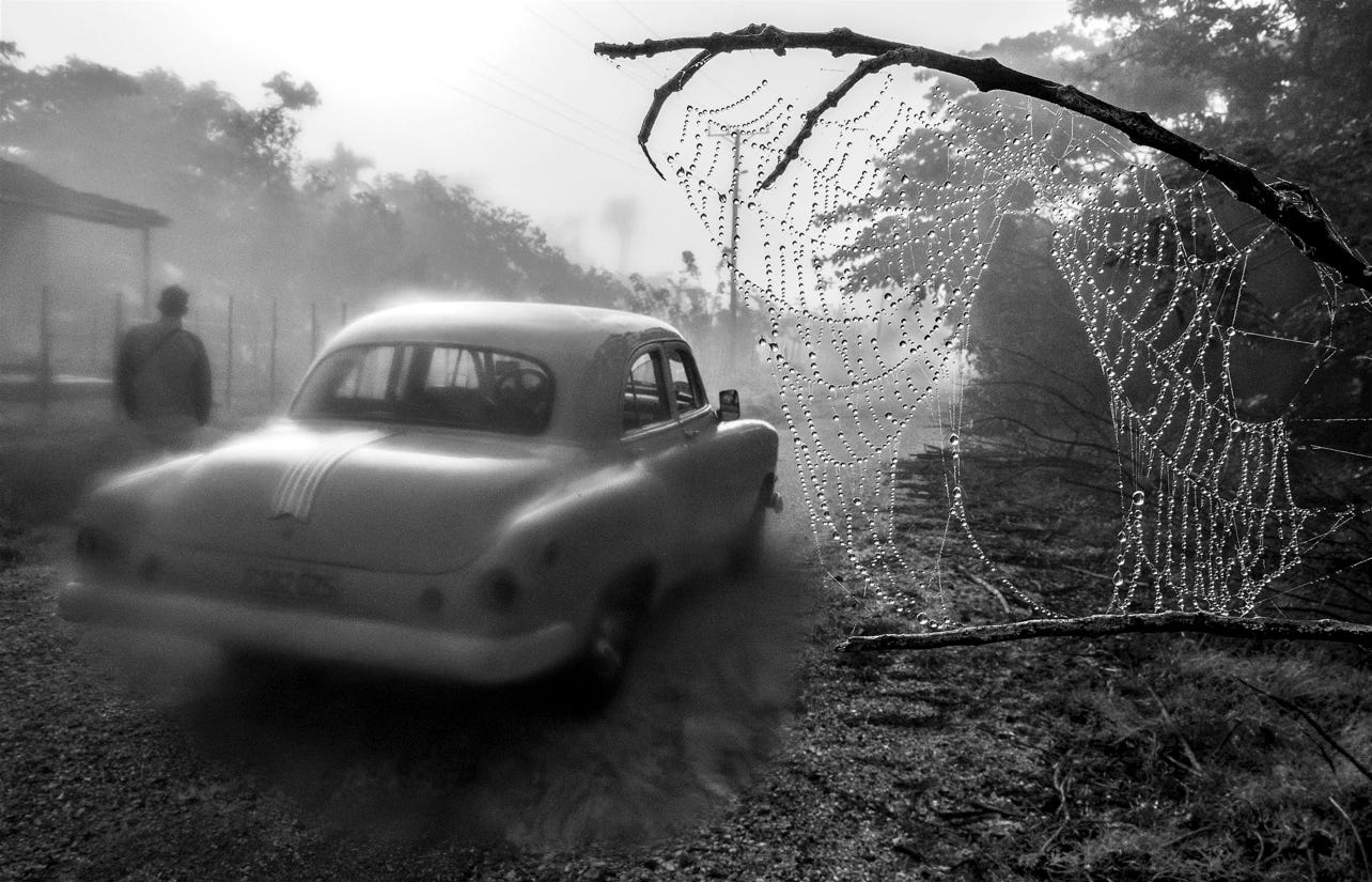 A classic American car on the blurry side of the lens and on the right is a well focused cobweb.