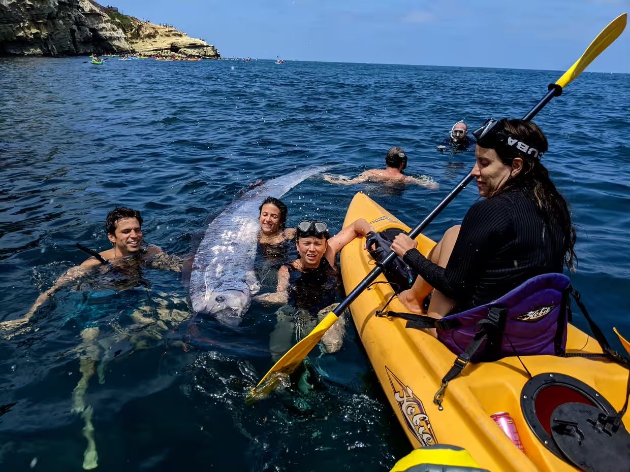 image: Michael Wang/The Scripps Institute of Oceanography