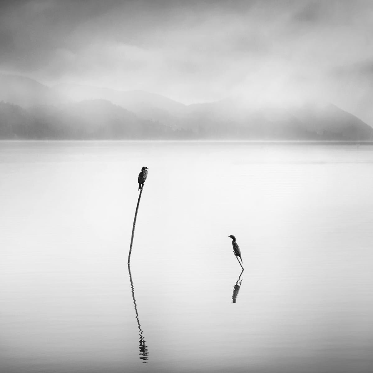 The Sound of Silence :: Behance