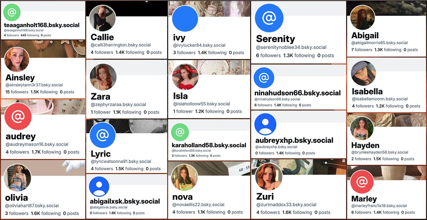 example fake followers of the "Nora" and "Naomi" accounts