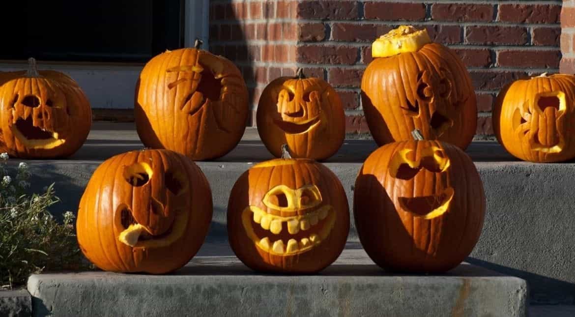 Why is America obsessed with pumpkins? - Entertainment News