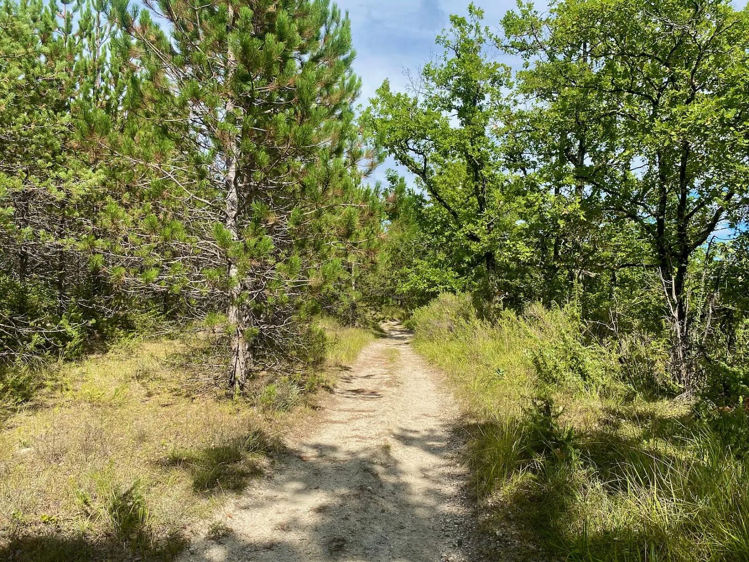 Comment tracer gravel ou VTT à l’arrache Comment tracer gravel ou VTT à l’arrache