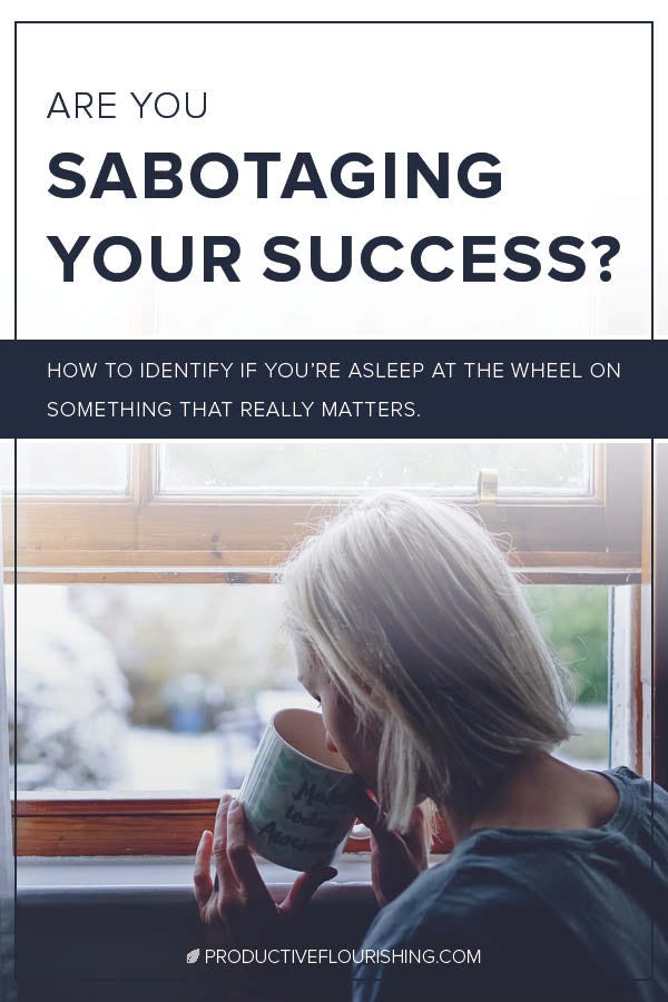 Do you have something that matters to you but has been left unaddressed for too long? Is it time to take a look at that Thing? https://productiveflourishing.com/asleep-at-the-wheel/ #productiveflourishing #selfcare #selfcompassion #smallbusiness