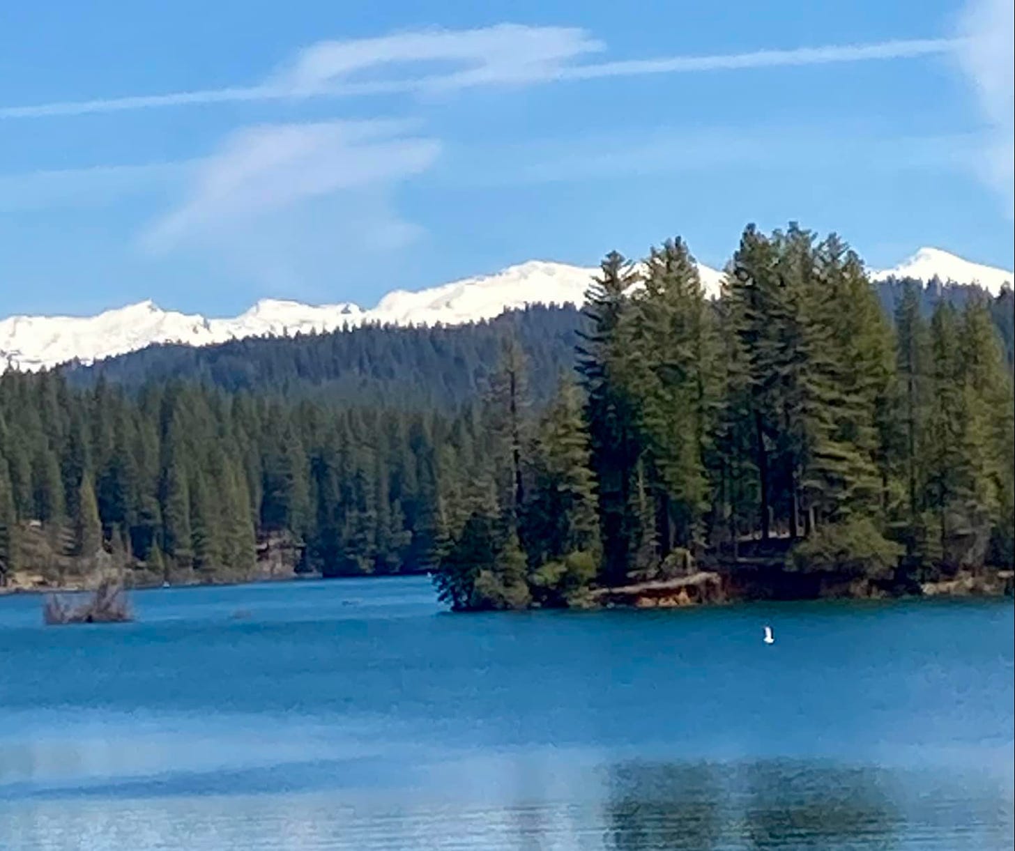 Lake, forest, and snowy mountains