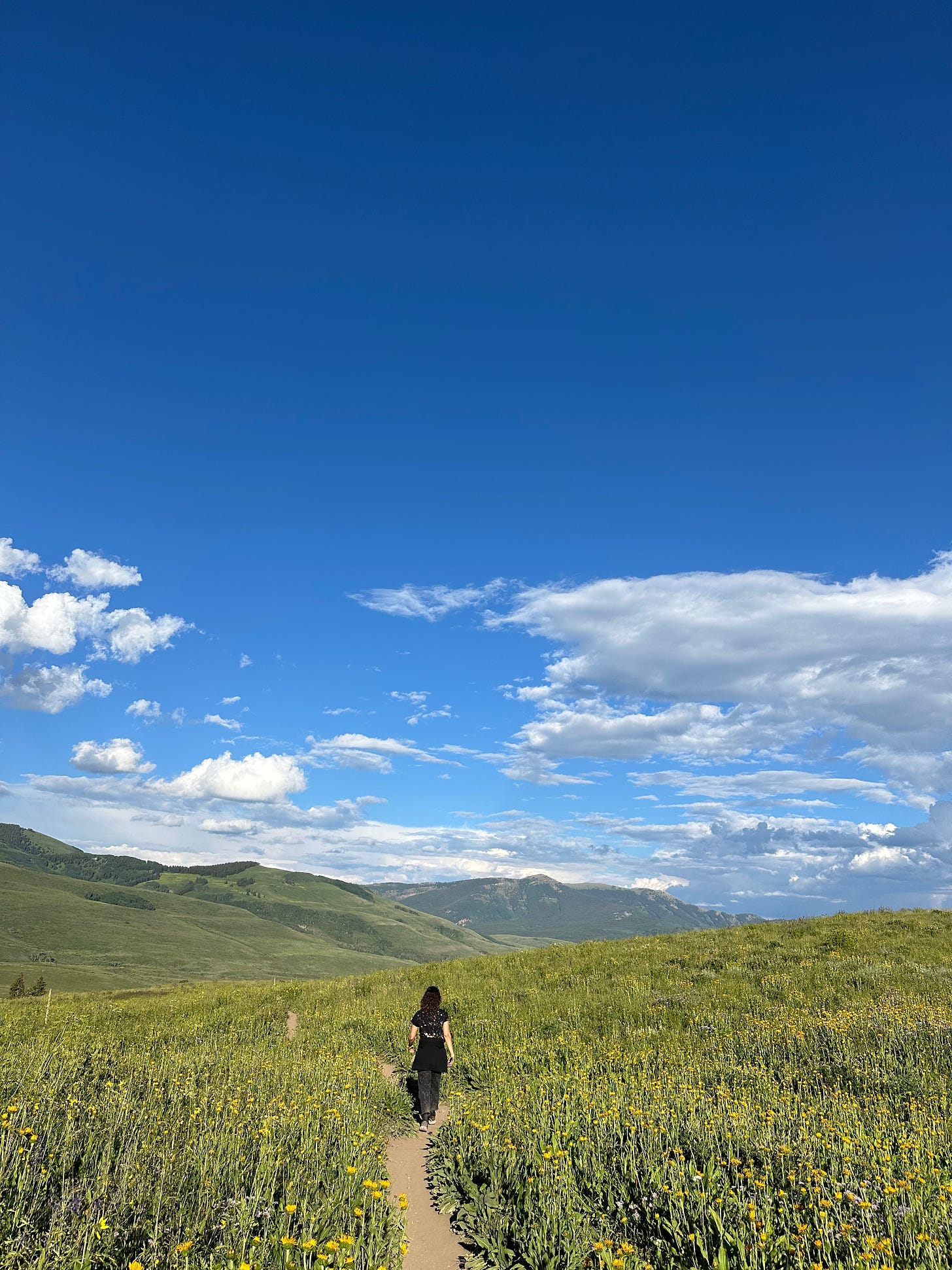 A woman walks a dirt trail within a huge field of wildflowers with a green mountain range and a blue sky dotted with clouds beyond her.