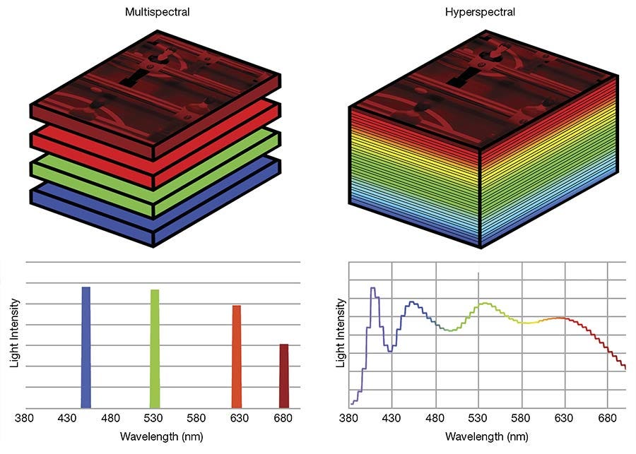 Multispectral Lighting Solves Difficult Imaging Challenges | Features | Jun  2021 | Photonics Spectra