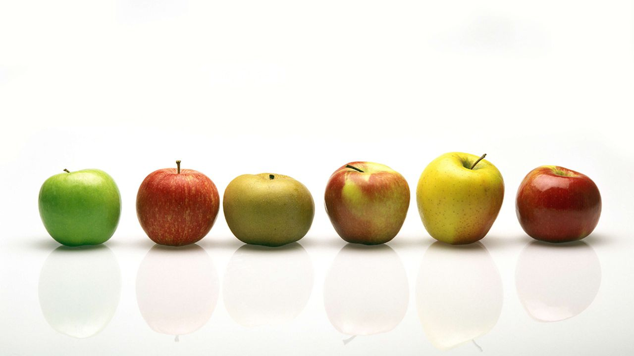 11 variétés remarquables de pommes | Les Echos