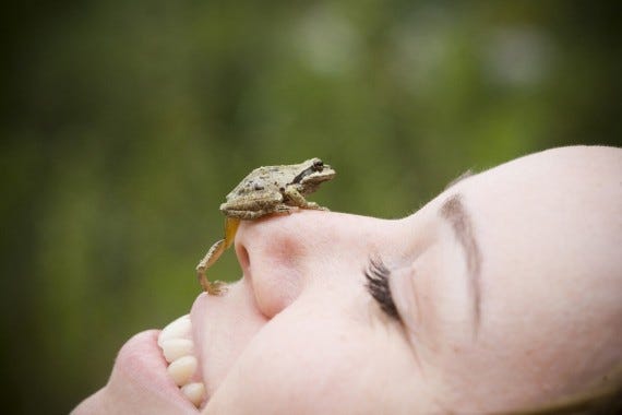 Frog on face