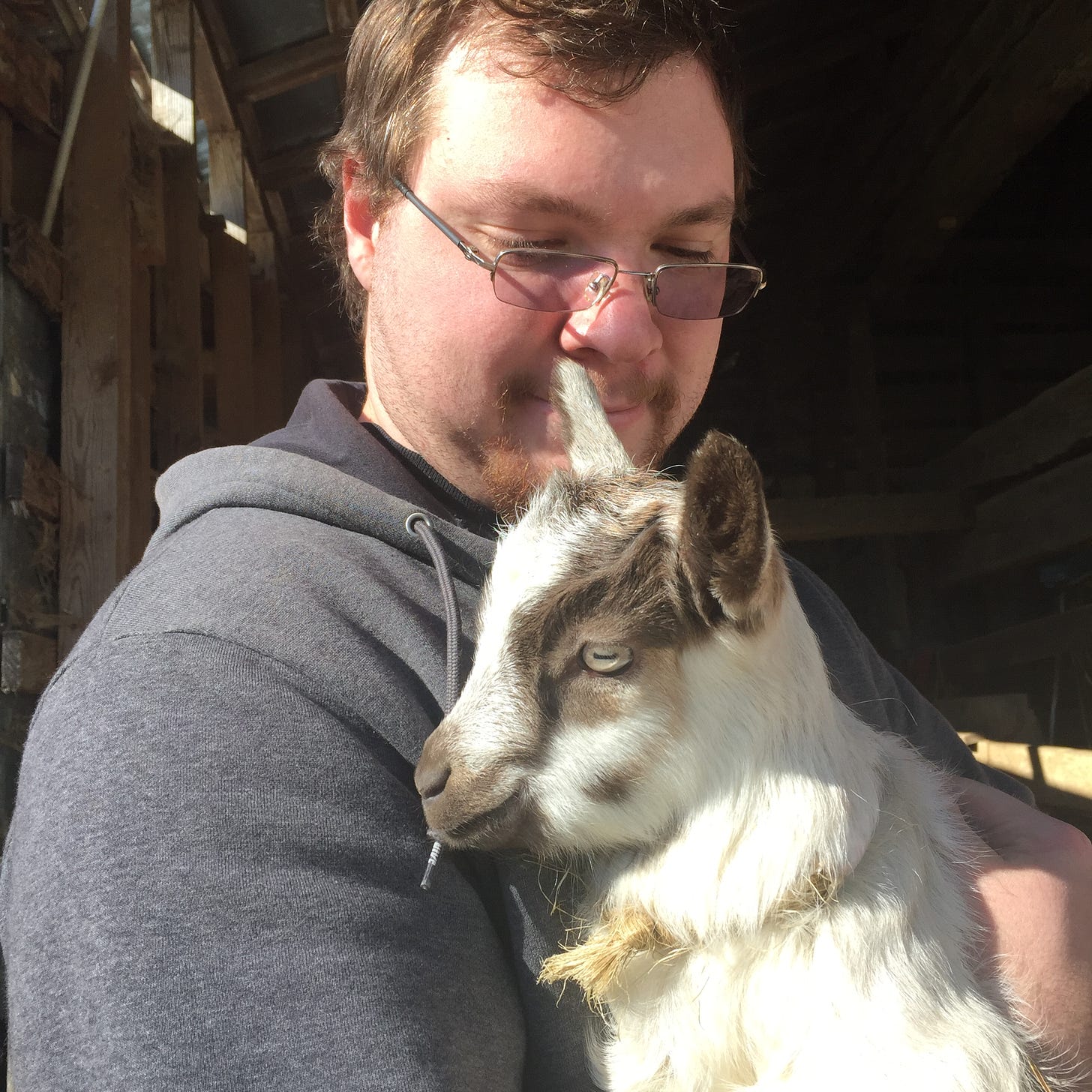 person holding a baby goat