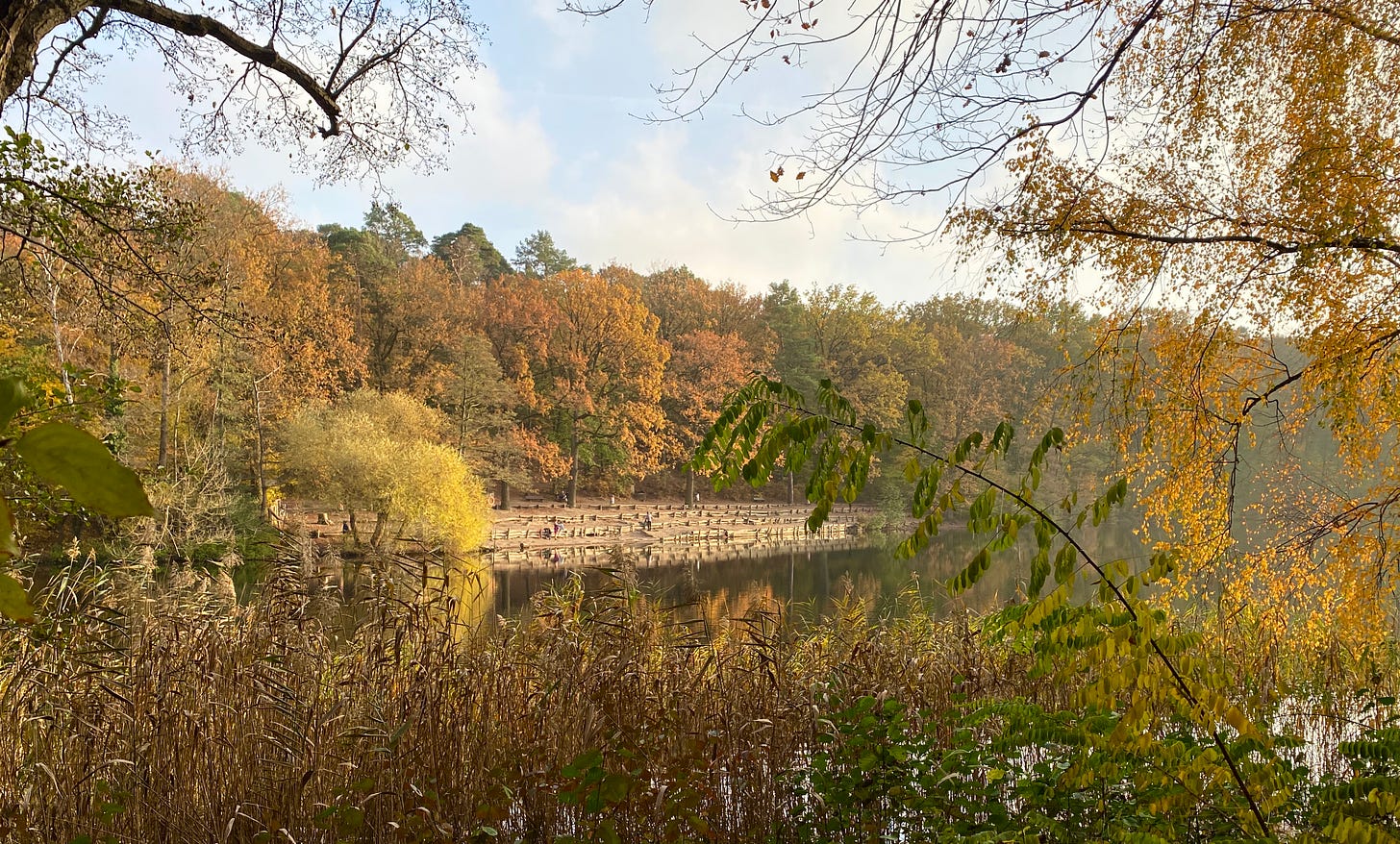 Paisagem de outono: um lago cercado por árvores com folhas amarelas e laranjas, bancos de madeira na margem e algumas pessoas caminhando e relaxando.