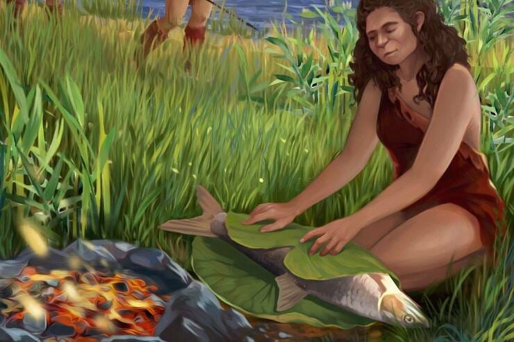 Fosillerden elde edilen bilgiler ışığında yapılan canlandırmaya göre 800 bin yıl önce bu şekilde balık pişiriliyormuş. Yaprakların işlevi balığı ateşin harından koruyarak daha iyi pişmesini sağlamak.