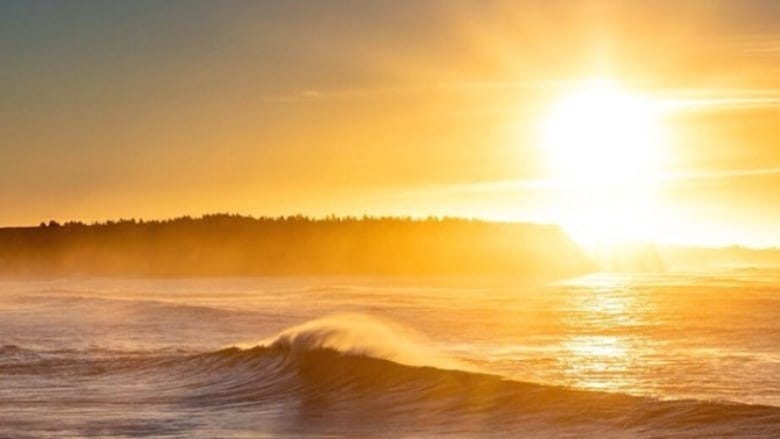 3 reasons to celebrate the sunshine as we spring forward this weekend | CBC  News