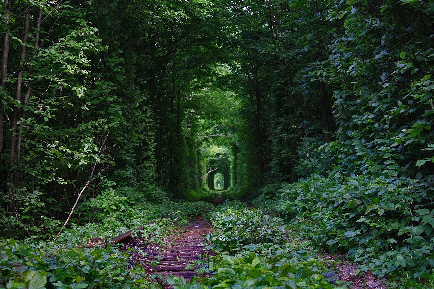 Fairy-Tale-Tunnel-of-Love-Found-in-Klevan-Ukraine-7