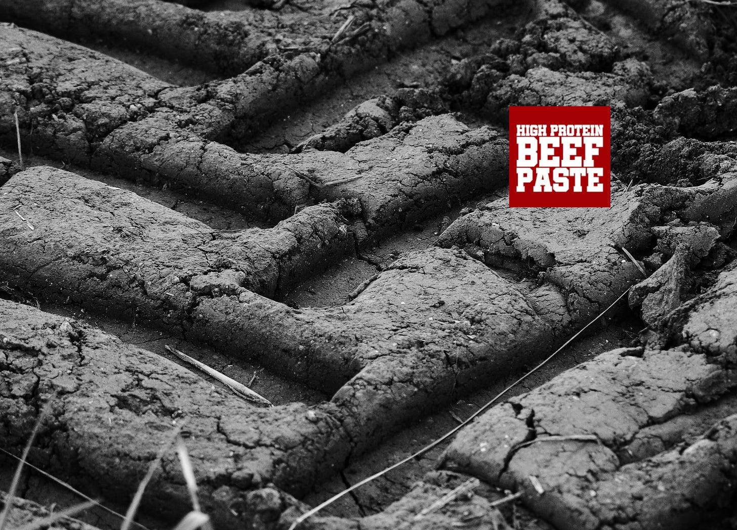High Protein Beef Paste