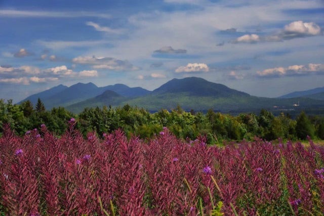 on blackstone mountain