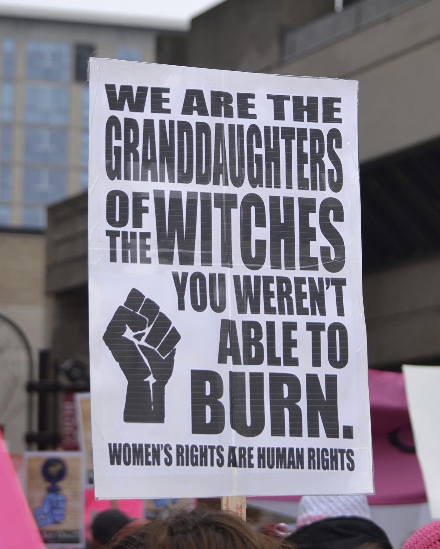 We Are The Granddaughters of The Witches You Weren't Able to Burn - UWDC -  UW-Madison Libraries