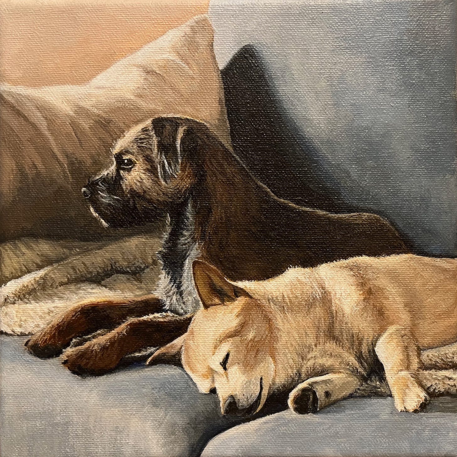 Painting of our two dogs, Lucy and Lola, as they lie together on a fuzzy blanket on our light blue-grey sofa. Lucy, a brown and black Border Terrier, gazes alertly off into the distance while Lola, the golden pomeranian mix, lies fast asleep beside her.