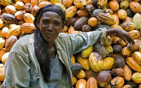 Gladys-cocoa-Ghana_jcAE8Y3.max-800x600