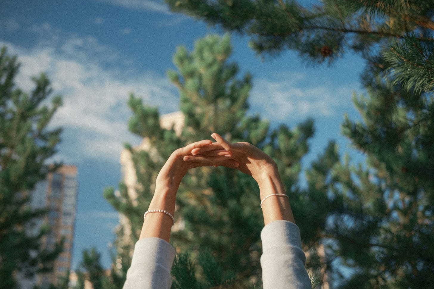 Arms reaching toward the sky