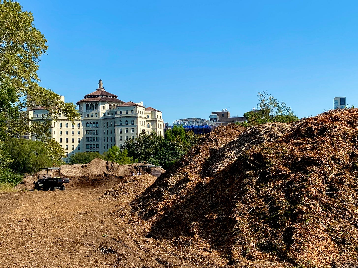 A large compost pile with a smaller compost pile behind to its left. The beaux arts Terence Cardinal Cooke Health Care Center, née the Fifth Avenue Hospital, is beyond the park walls.