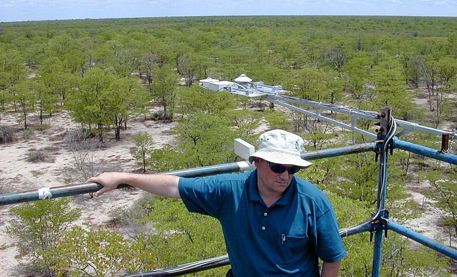 scientist stands on a tower in the African bush scientist stands on a tower in the African bush