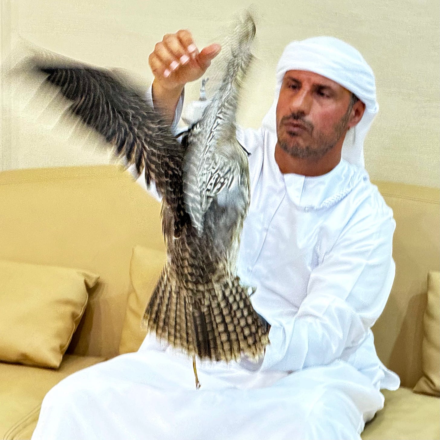 Falcon Hospital Abu Dhabi