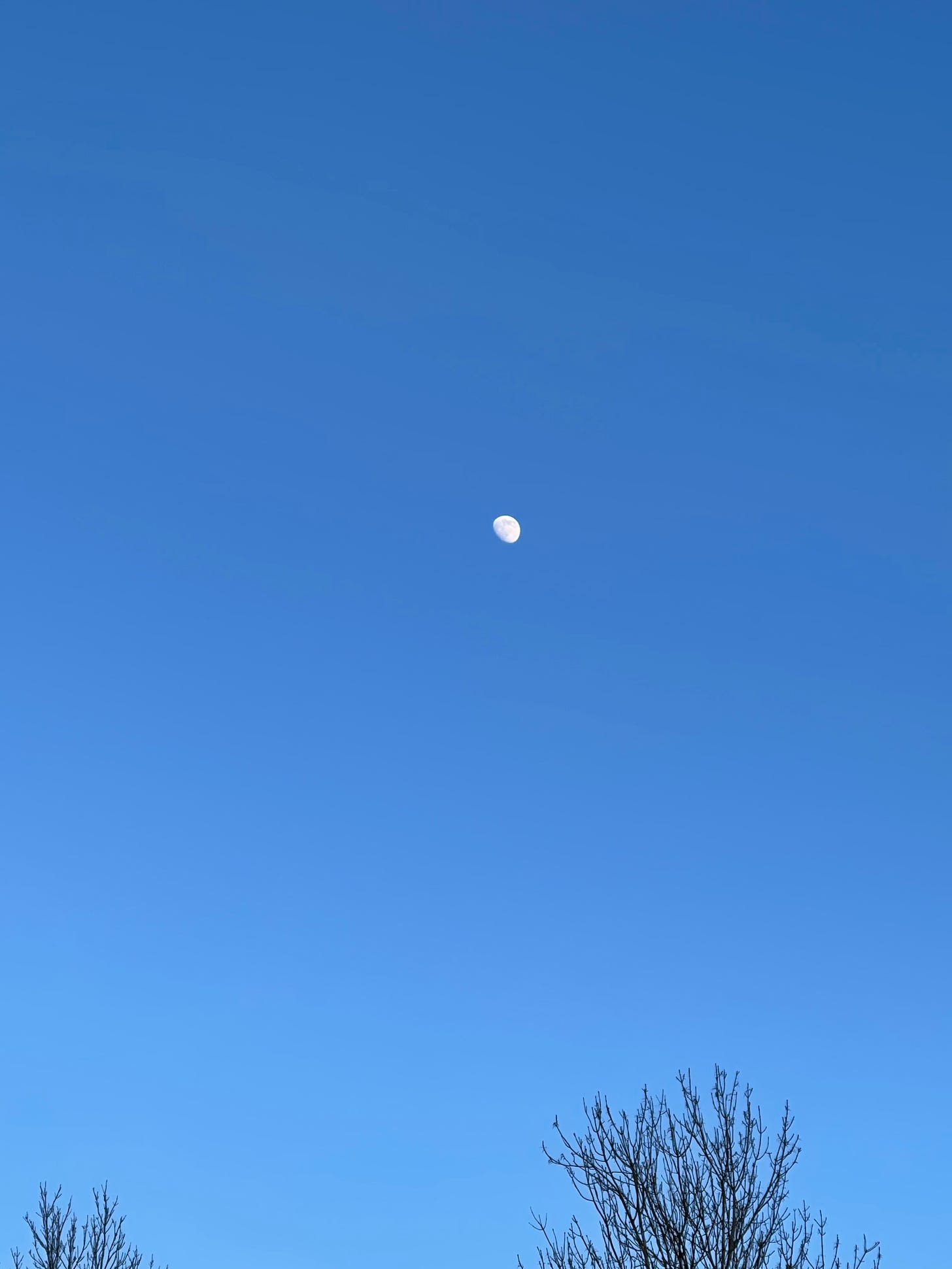 two thirds of the moon centered on a blue sky background