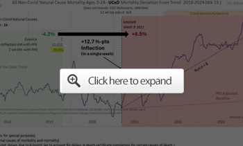 non covid natural cause mortality