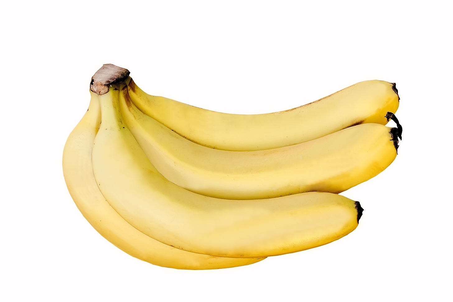 Cavendish banana - Wikipedia